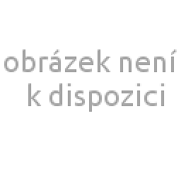 Obrázek pro produkt Malířská stěrka Classic - 8 kg